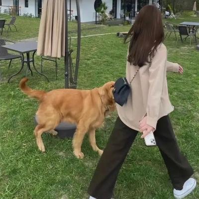我和妻子的1778个故事